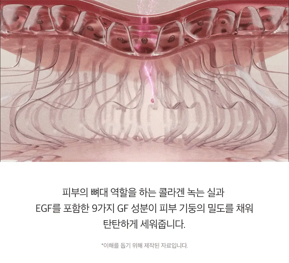 [1등 탄력앰플/녹는실리프팅] 성분에디터 실크펩타이드 EGF 하트핏 볼륨 리프팅 앰플 40ml더블기획(+키링 파우치)* 상세페이지 25